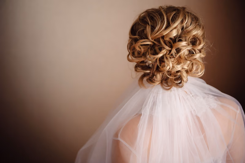 A curled bridal updo with a veil, seen from behind